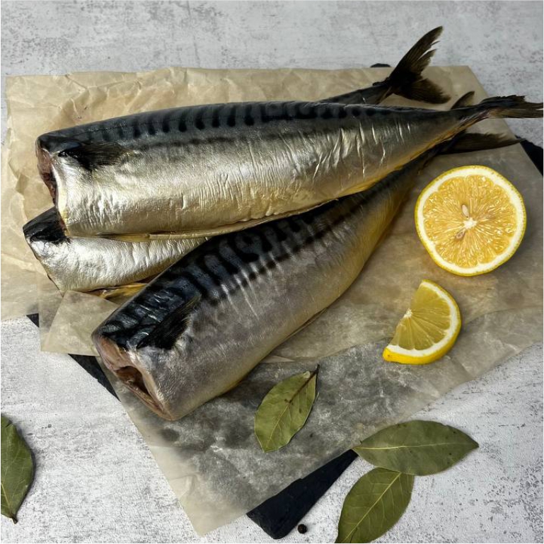 Скумбрия 